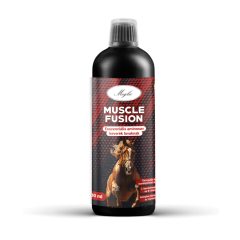 MEGLIO MUSCLE FUSION –  Budovanie svalovej hmoty  500 ml